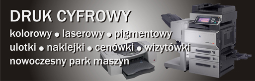 Wycinanie liter i grafiki, ploter tnący, Bielsko-Biała